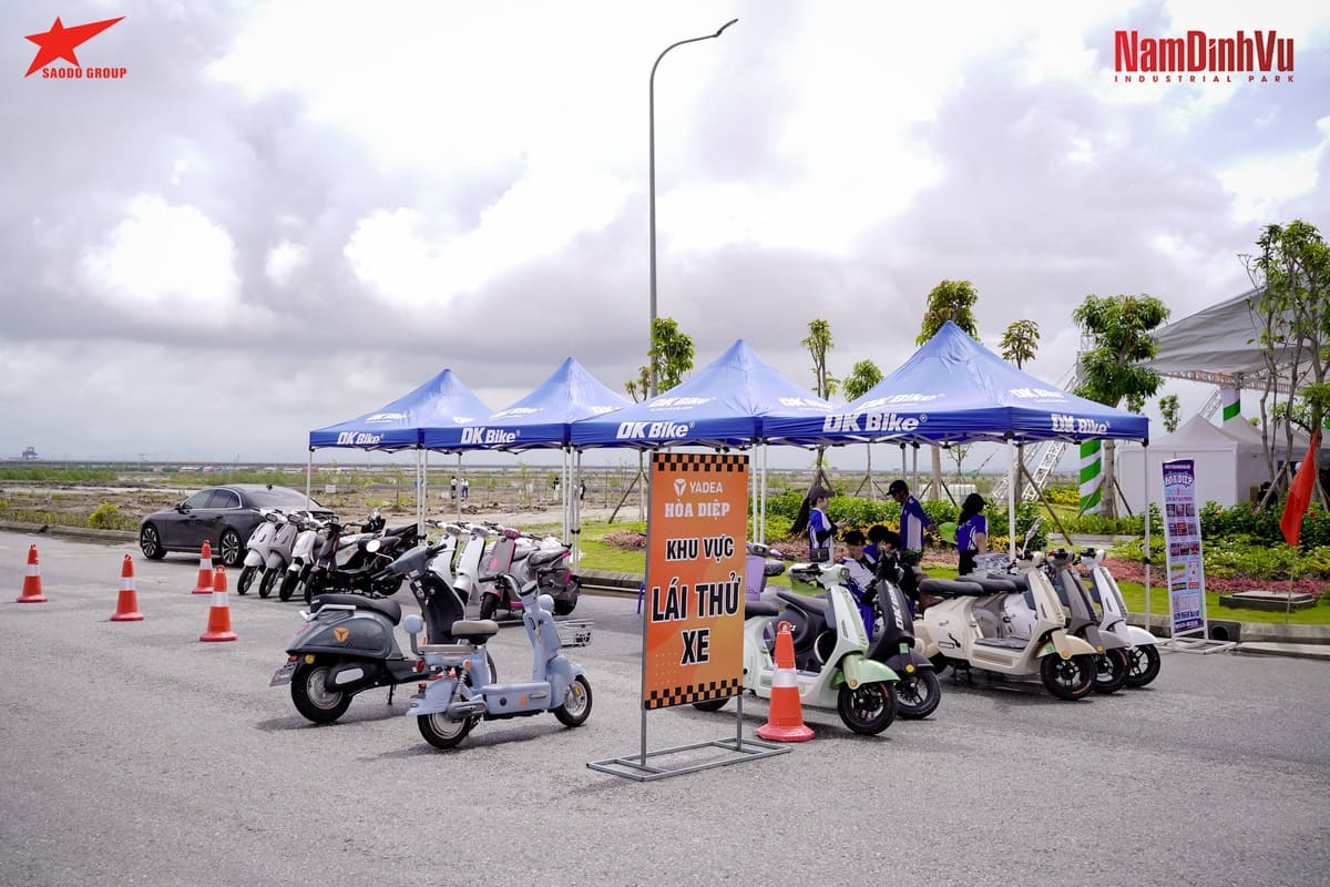 Tập đoàn Sao Đỏ - 