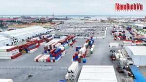 Thumb Dat kho bai hai phong