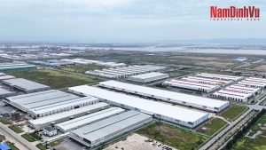 Thumb Industrial land for lease hai phong